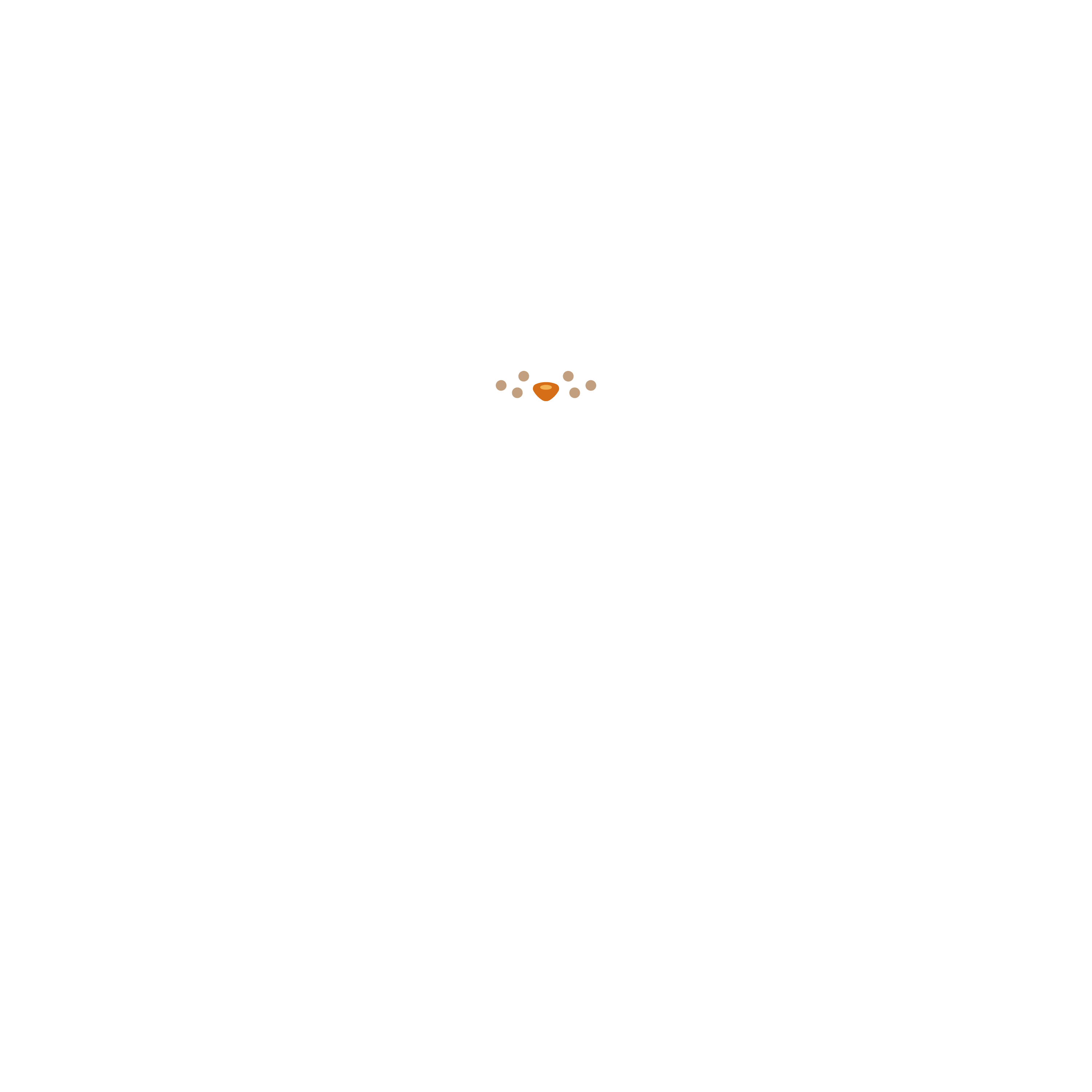 Tabby Orange